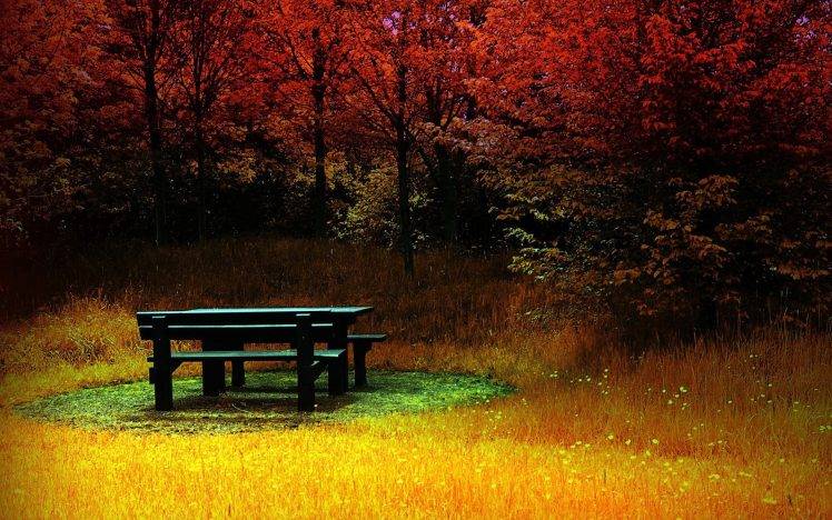 fall, Bench, Colorful, Trees, Landscape, Nature HD Wallpaper Desktop Background