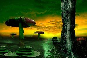 landscape, Nature, Digital Art, Artwork, Fantasy Art, Mushroom