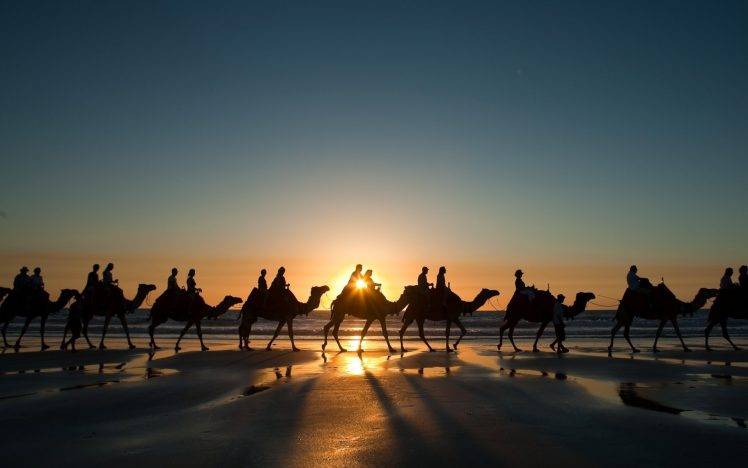 landscape, Nature, Sunset, Camels, Desert HD Wallpaper Desktop Background