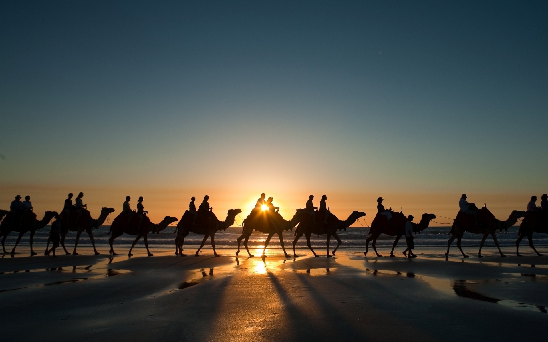 Landscape, Nature, Sunset, Camels, Desert Wallpapers Hd / Desktop And