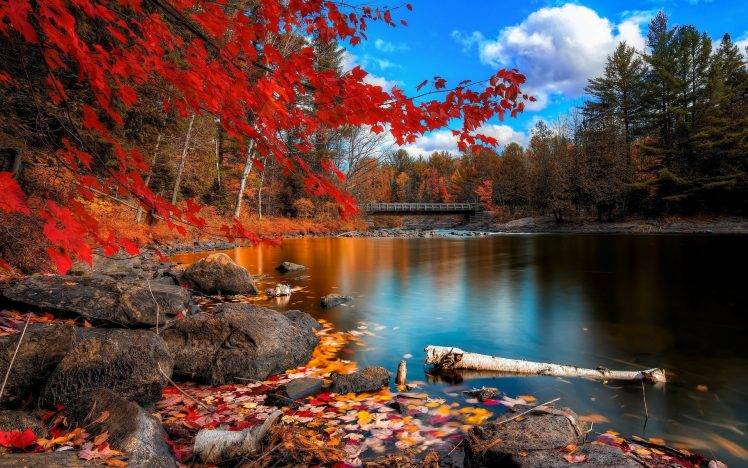 anime, Fall, Nature, Lake HD Wallpaper Desktop Background