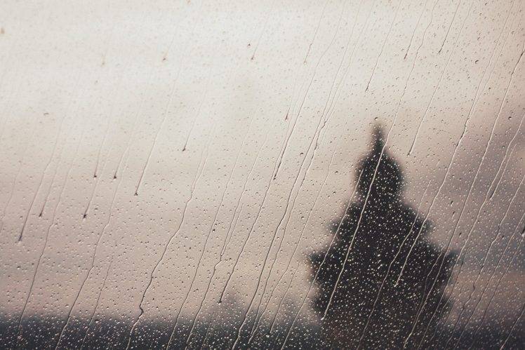 landscape, Water Drops, Rain, Trees, Water On Glass HD Wallpaper Desktop Background