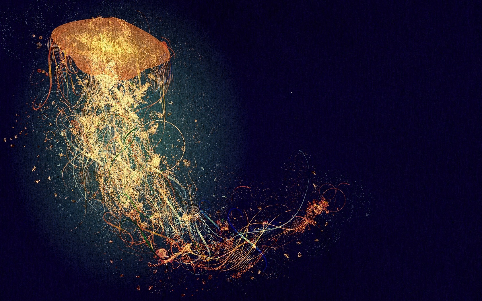abstract, Jellyfish Wallpaper