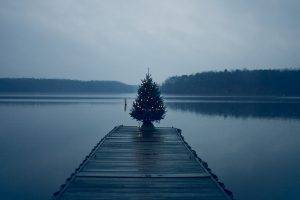 Christmas Tree, Pier, Lake