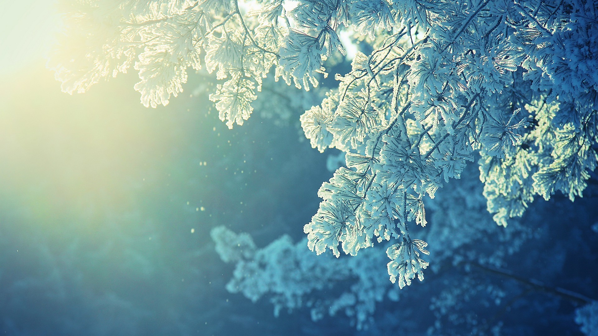 Anime Nature Snow Winter Cold Sunlight Peaceful Wallpapers