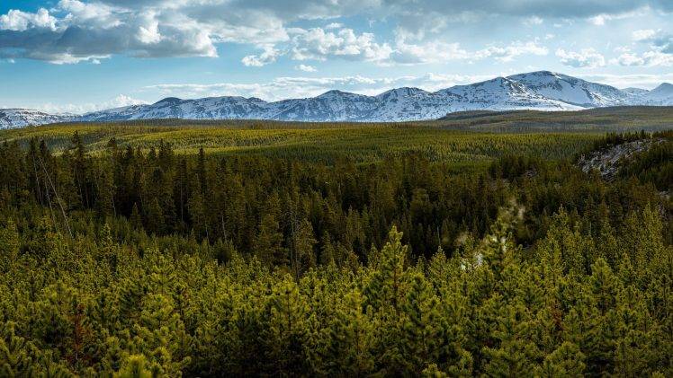 nature, Mountain, Sky, Forest, Trees, Landscape, Canada HD Wallpaper Desktop Background