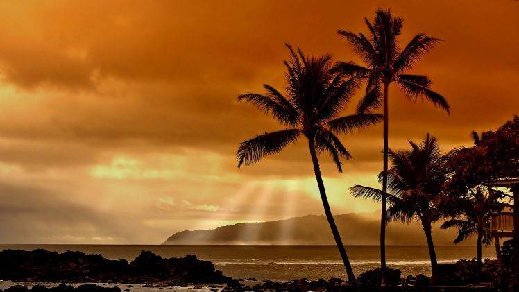 sunset, Sunlight, Landscape, Nature, Sea, Beach HD Wallpaper Desktop Background