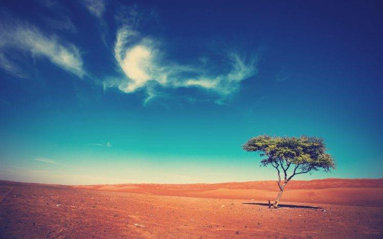 landscape, Trees, Desert HD Wallpaper Desktop Background