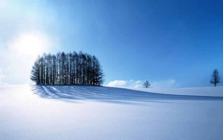 landscape, Trees, Snow HD Wallpaper Desktop Background