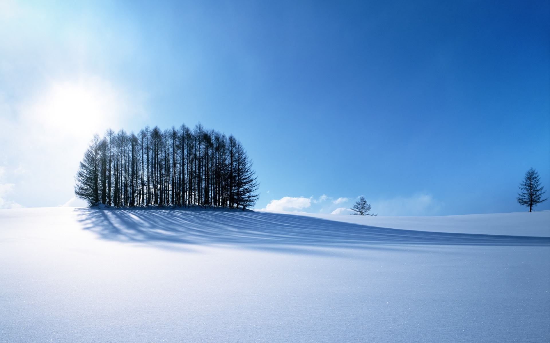 landscape, Trees, Snow Wallpaper