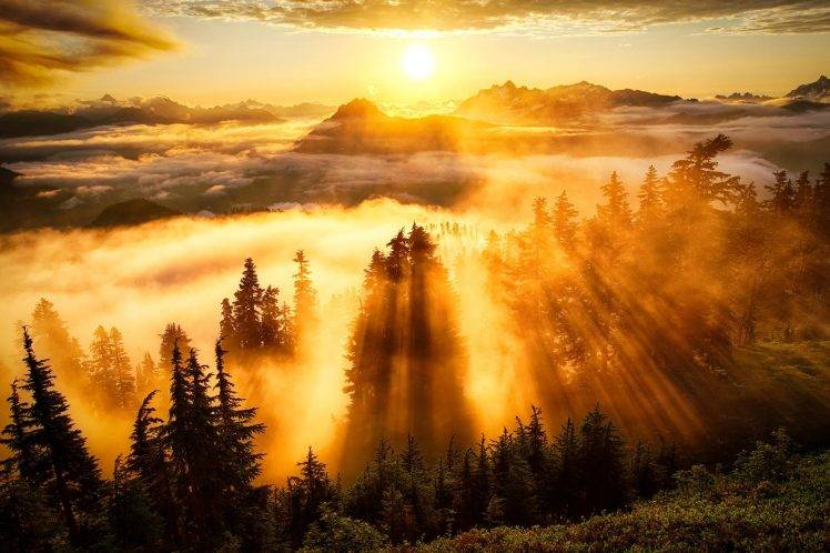 landscape, Sun Rays, Forest, Mountain, Clouds HD Wallpaper Desktop Background