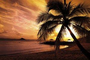 landscape, Sunset, Beach, Palm Trees, Nature