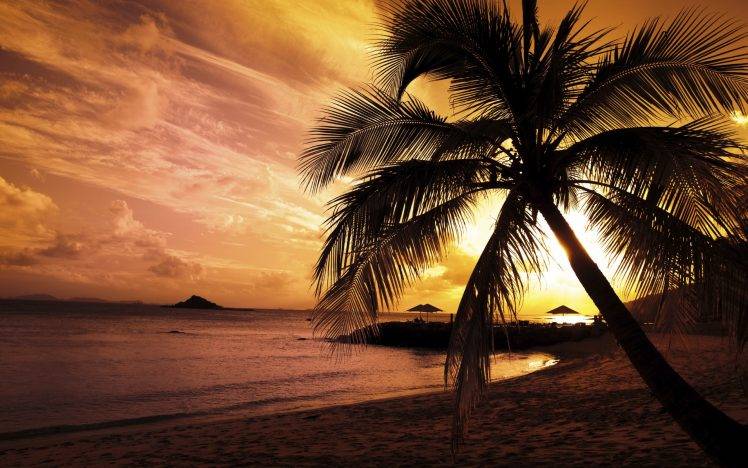 landscape, Sunset, Beach, Palm Trees, Nature HD Wallpaper Desktop Background