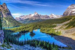 landscape, Lake, Mountain, Trees, Rocky Mountain National Park