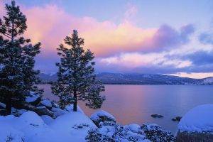 landscape, Trees, Winter, Snow, Nature