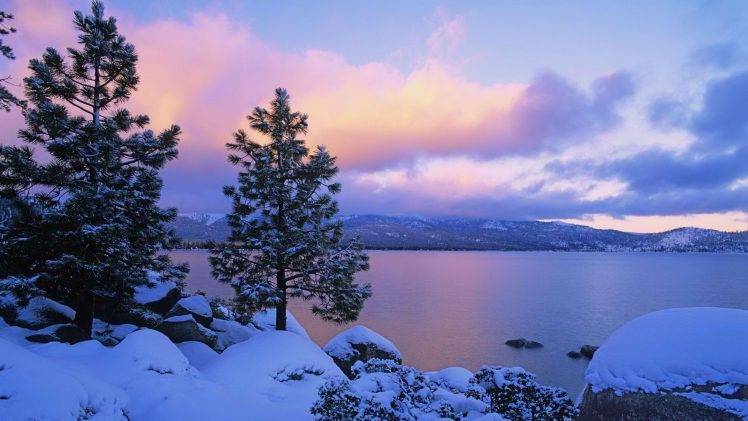 landscape, Trees, Winter, Snow, Nature HD Wallpaper Desktop Background