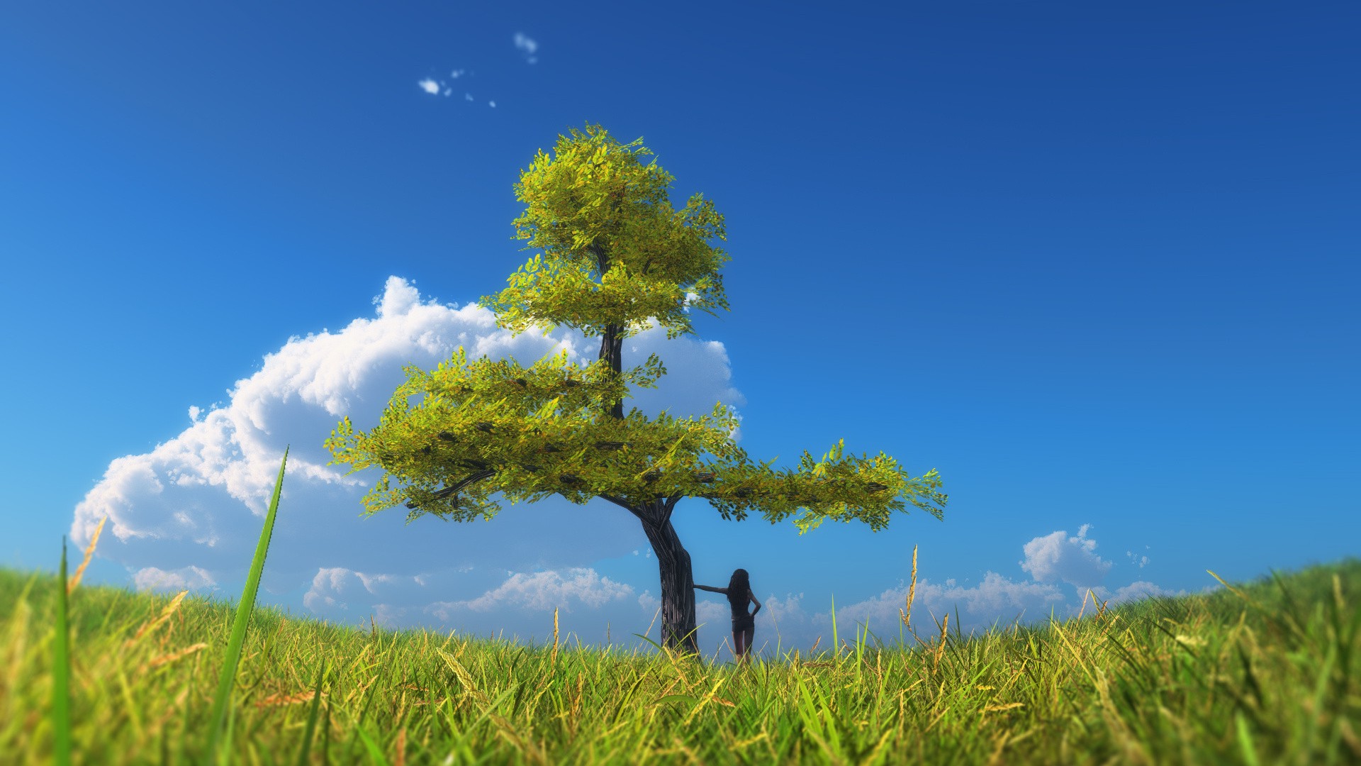 landscape Wallpaper