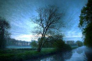 landscape, Trees, Water, Canal, Mist