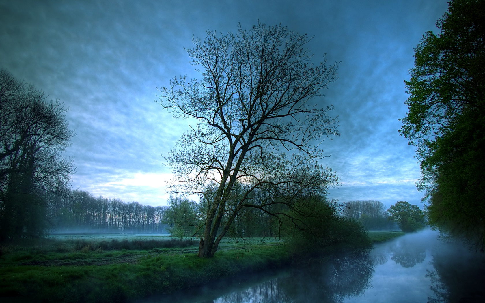 landscape, Trees, Water, Canal, Mist Wallpaper