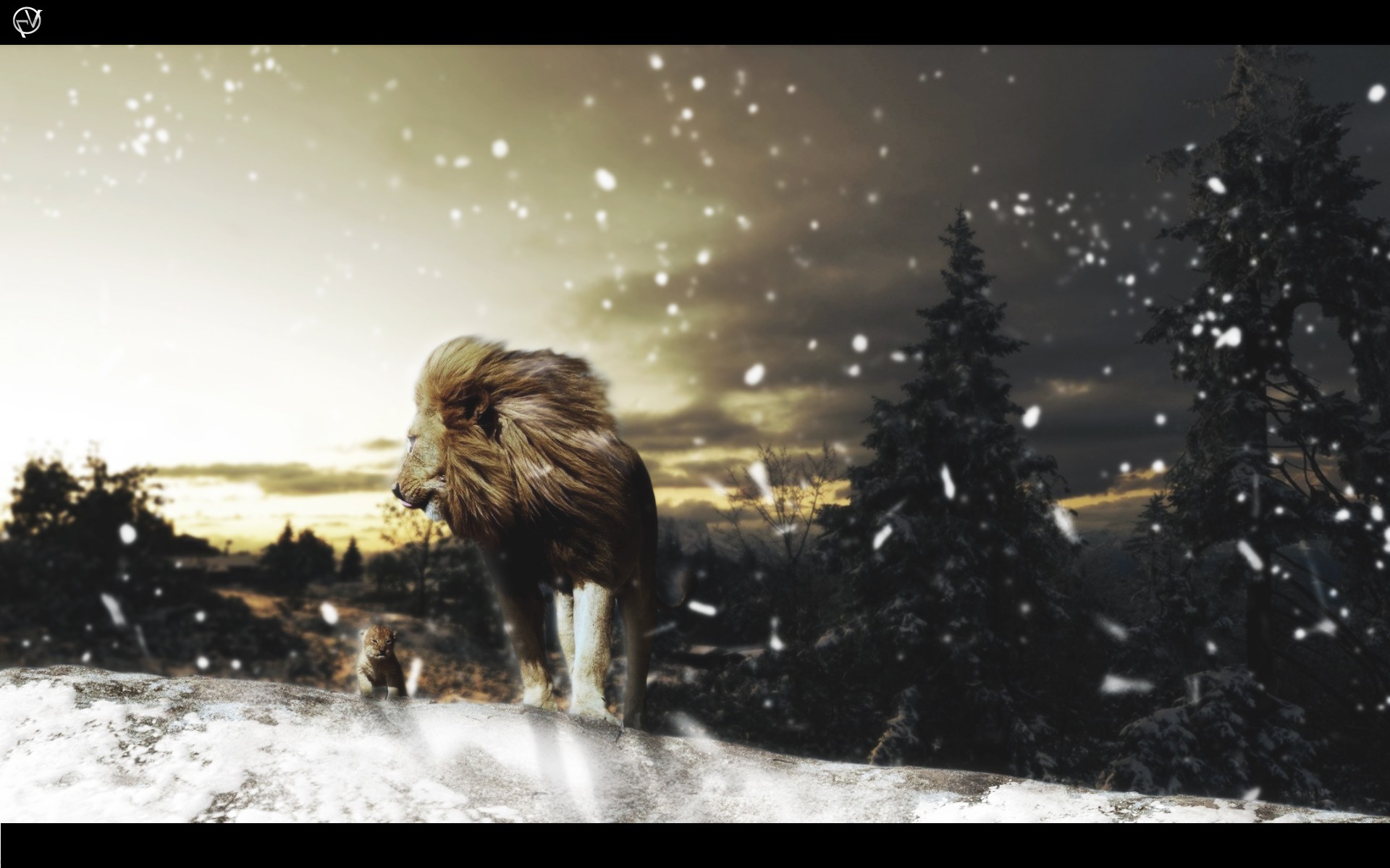 lion, Snow, Animals, Landscape, Photo Manipulation, Trees, Adobe Photoshop Wallpaper