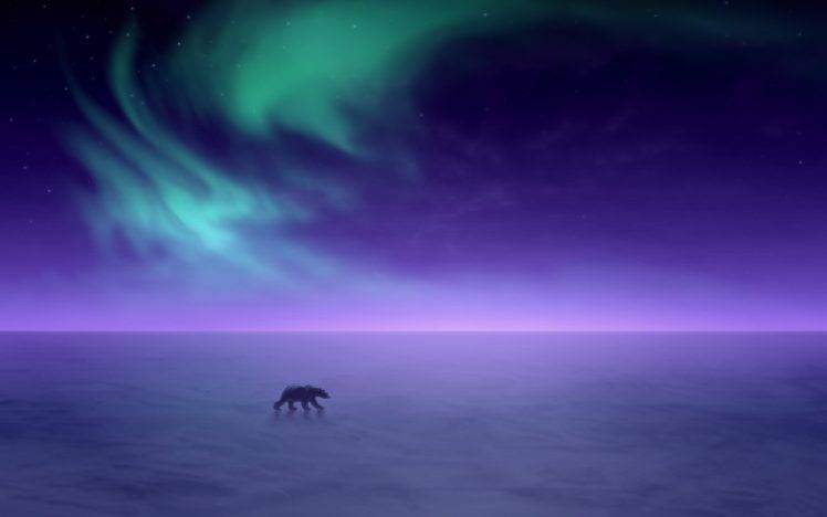 sky, Polar Bears, Landscape, Snow, Horizon HD Wallpaper Desktop Background