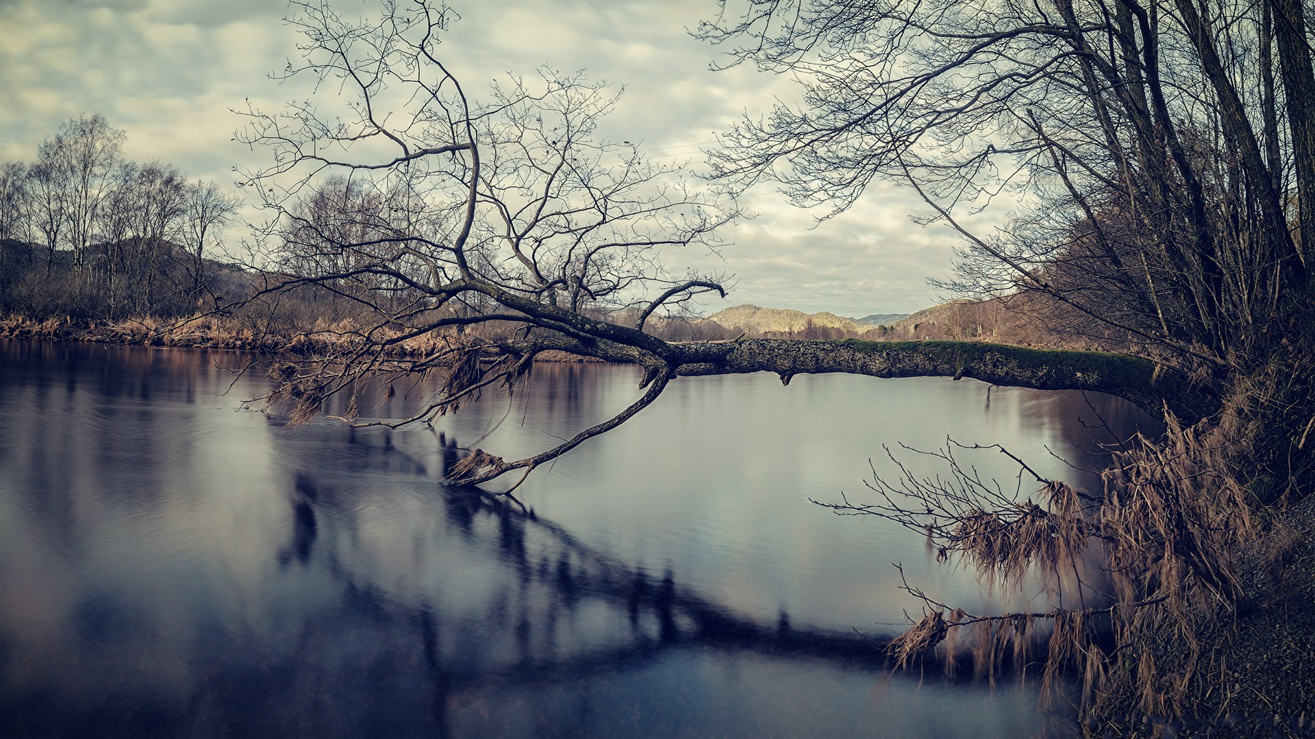 landscape, Trees, Lake, Winter, Nature Wallpaper