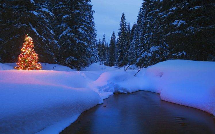 landscape, Winter, Trees, Snow, Christmas, River, Night, Nature HD Wallpaper Desktop Background