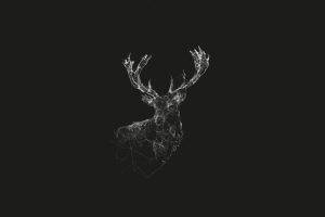 deer, Monochrome, Wireframe, Lines, Abstract, Geometry, Simple, Stags, Animals, Digital Art, Artwork, Gray, Nature