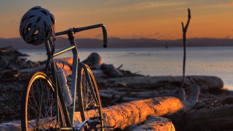 bicycle, Landscape, Wood HD Wallpaper Desktop Background
