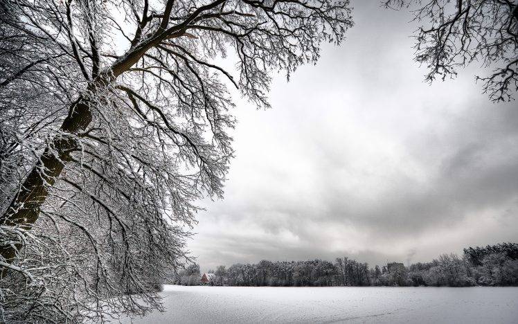 winter, Snow, Trees, Landscape, Nature, White HD Wallpaper Desktop Background
