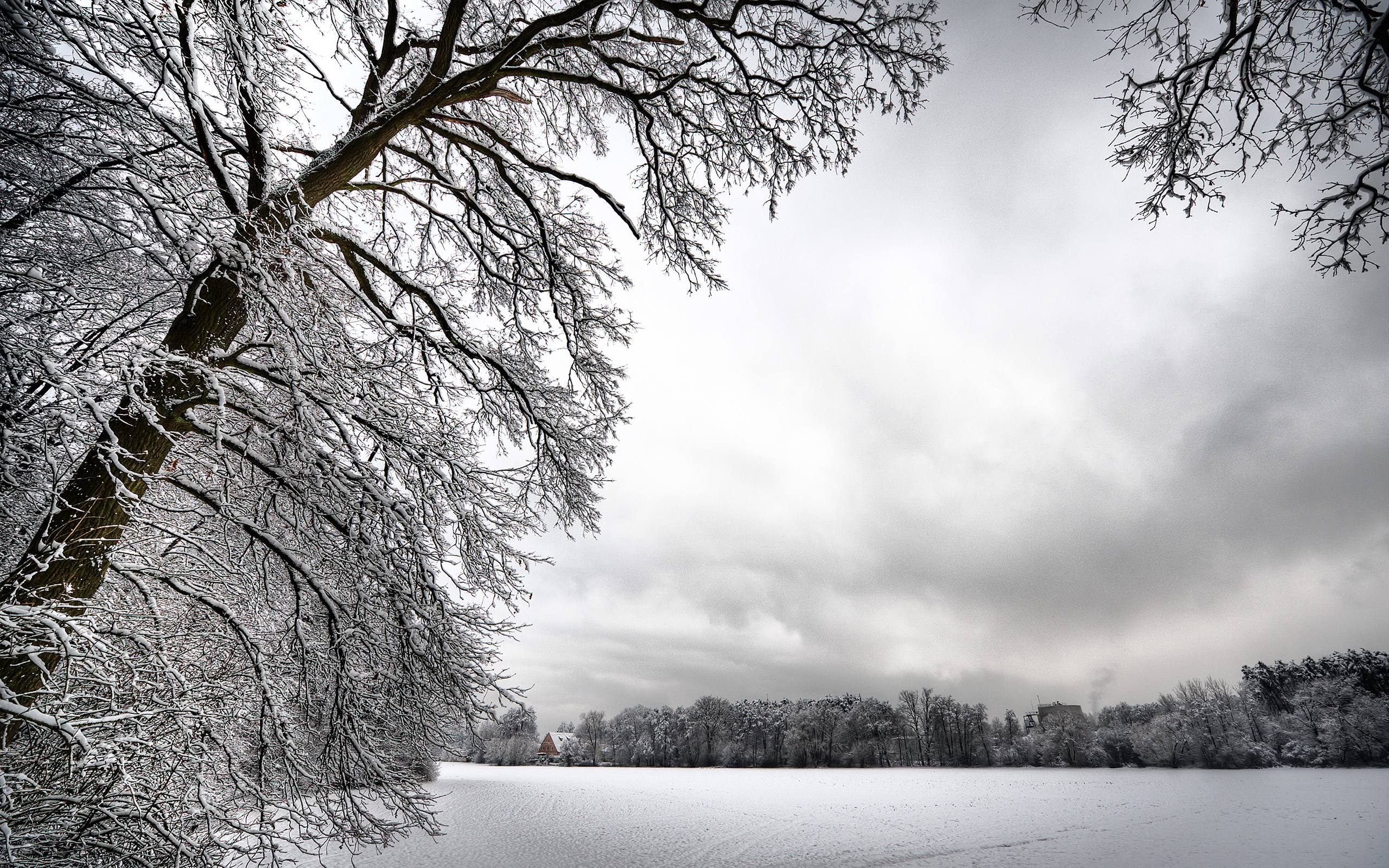 winter, Snow, Trees, Landscape, Nature, White Wallpaper