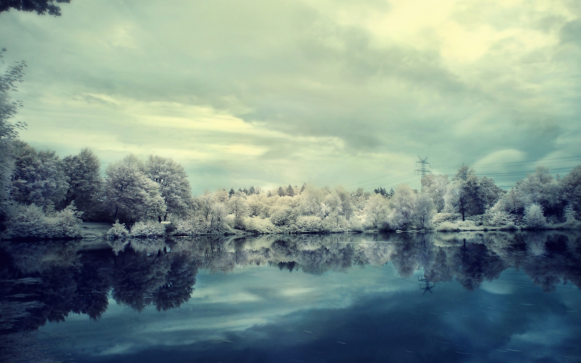 lake, Winter, Snow, Trees, Nature, Landscape, Power Lines Wallpaper
