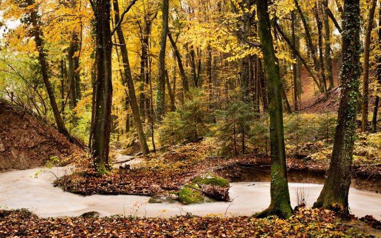nature, Landscape, Trees, River, Forest, Fall HD Wallpaper Desktop Background