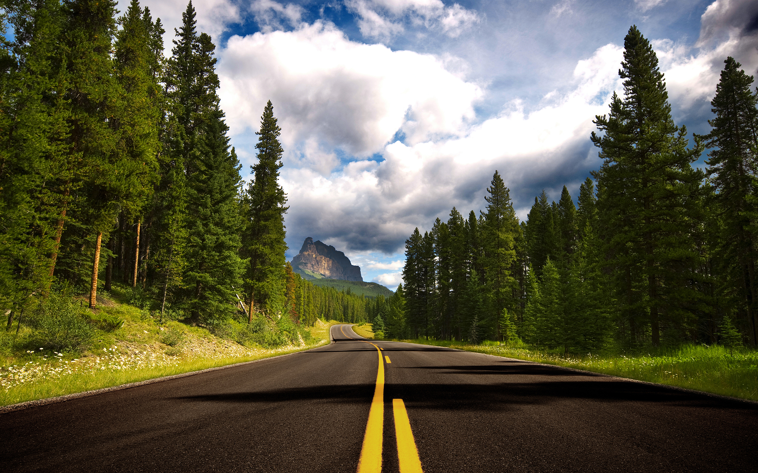 trees, Nature, Road, Forest, Landscape, Sky, Mountain, Banff National Park, Canada Wallpaper