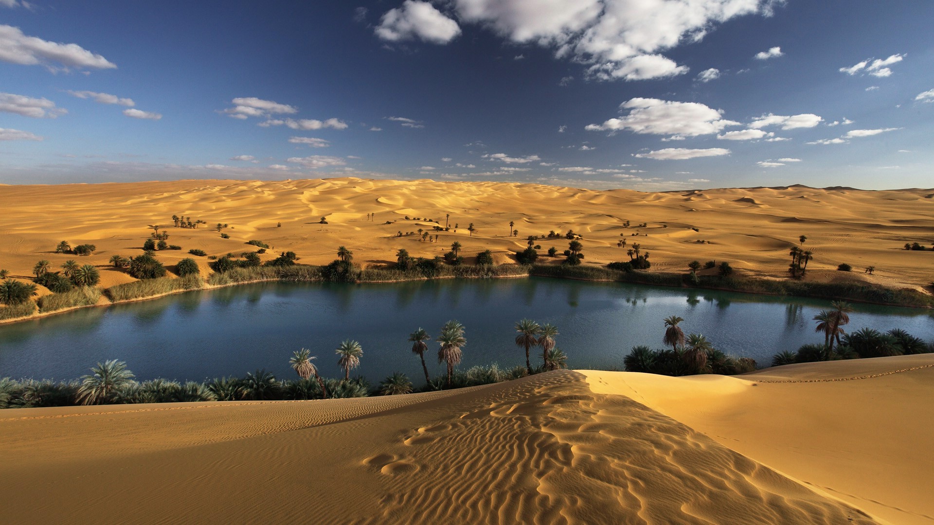 landscape, Desert, Oasis, Oases, Palm Trees Wallpaper
