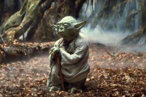 Yoda, Star Wars: Episode V   The Empire Strikes Back, Star Wars