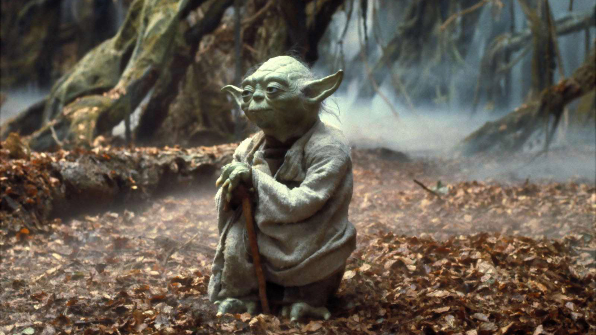 Yoda, Star Wars: Episode V   The Empire Strikes Back, Star Wars Wallpaper