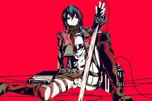 Shingeki No Kyojin, Mikasa Ackerman, Anime, Anime Girls, Artwork, Simple Background