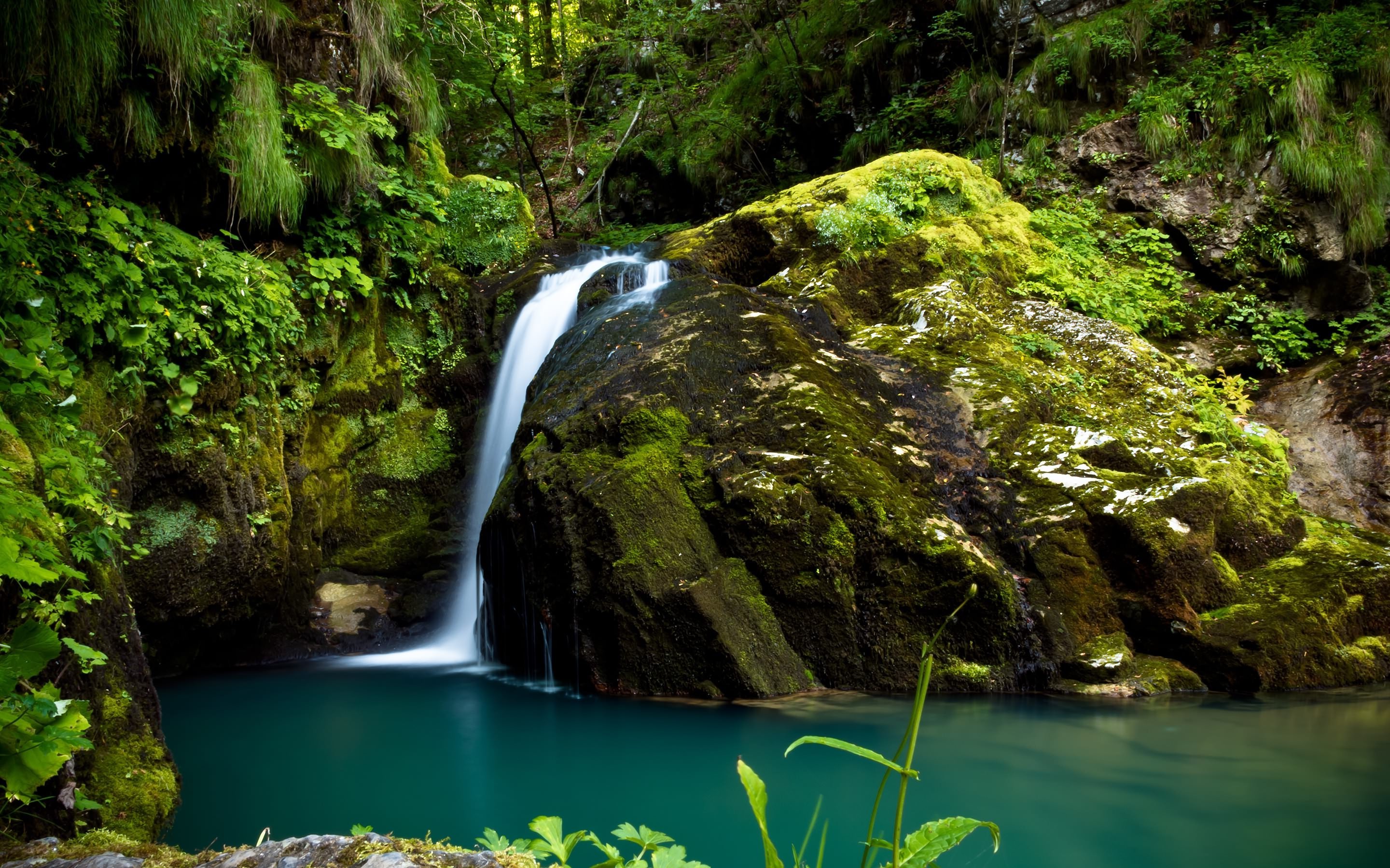 landscape Wallpaper