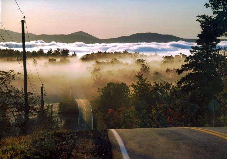 landscape, Road, Forest, Mist, Hill HD Wallpaper Desktop Background