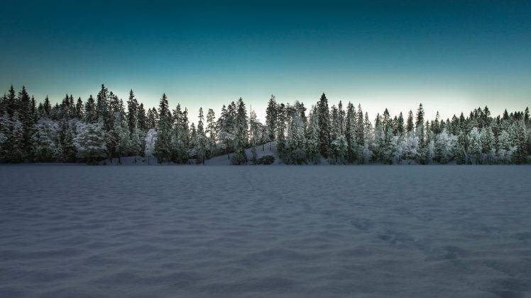 landscape, Winter, Snow, Trees, Forest HD Wallpaper Desktop Background