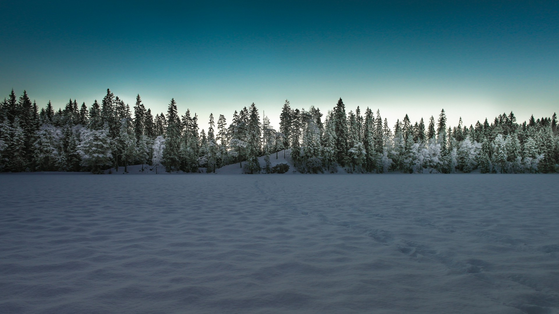 landscape, Winter, Snow, Trees, Forest Wallpaper