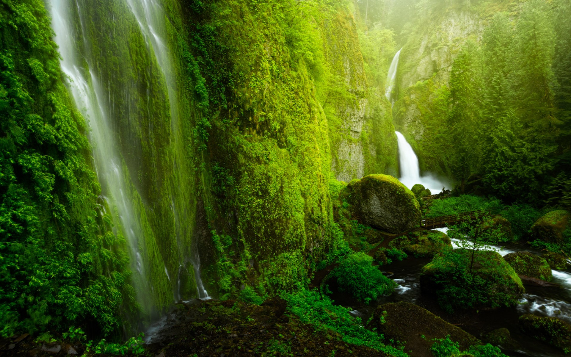 природа водопад деревья трава мох бесплатно