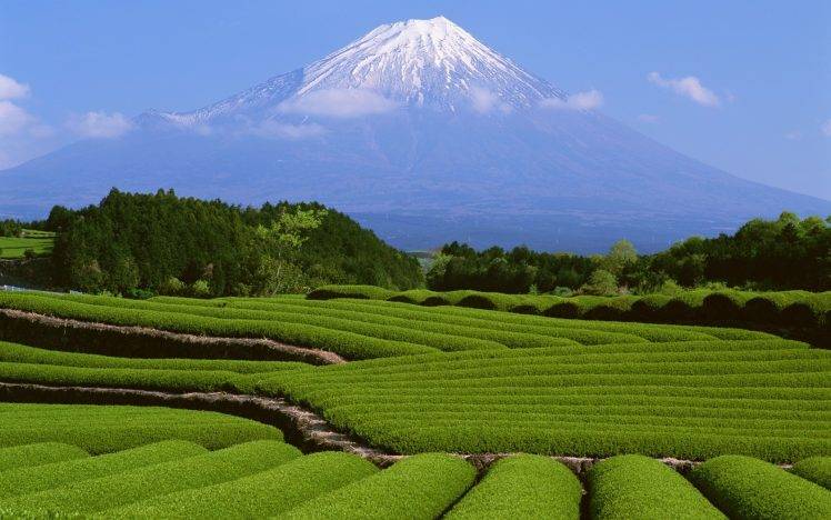 Japan, Landscape, Mount Fuji HD Wallpaper Desktop Background