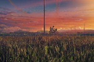 landscape, Bicycle, Sunset, Grass, Anime