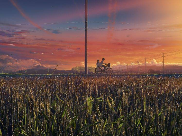 landscape, Bicycle, Sunset, Grass, Anime HD Wallpaper Desktop Background