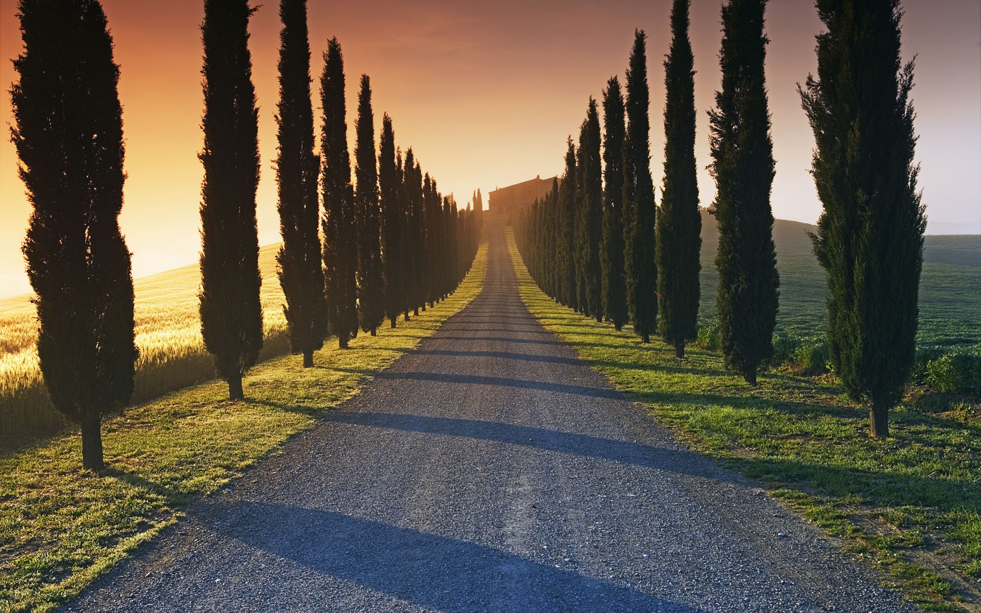 road, Landscape, Trees, Sunlight Wallpaper