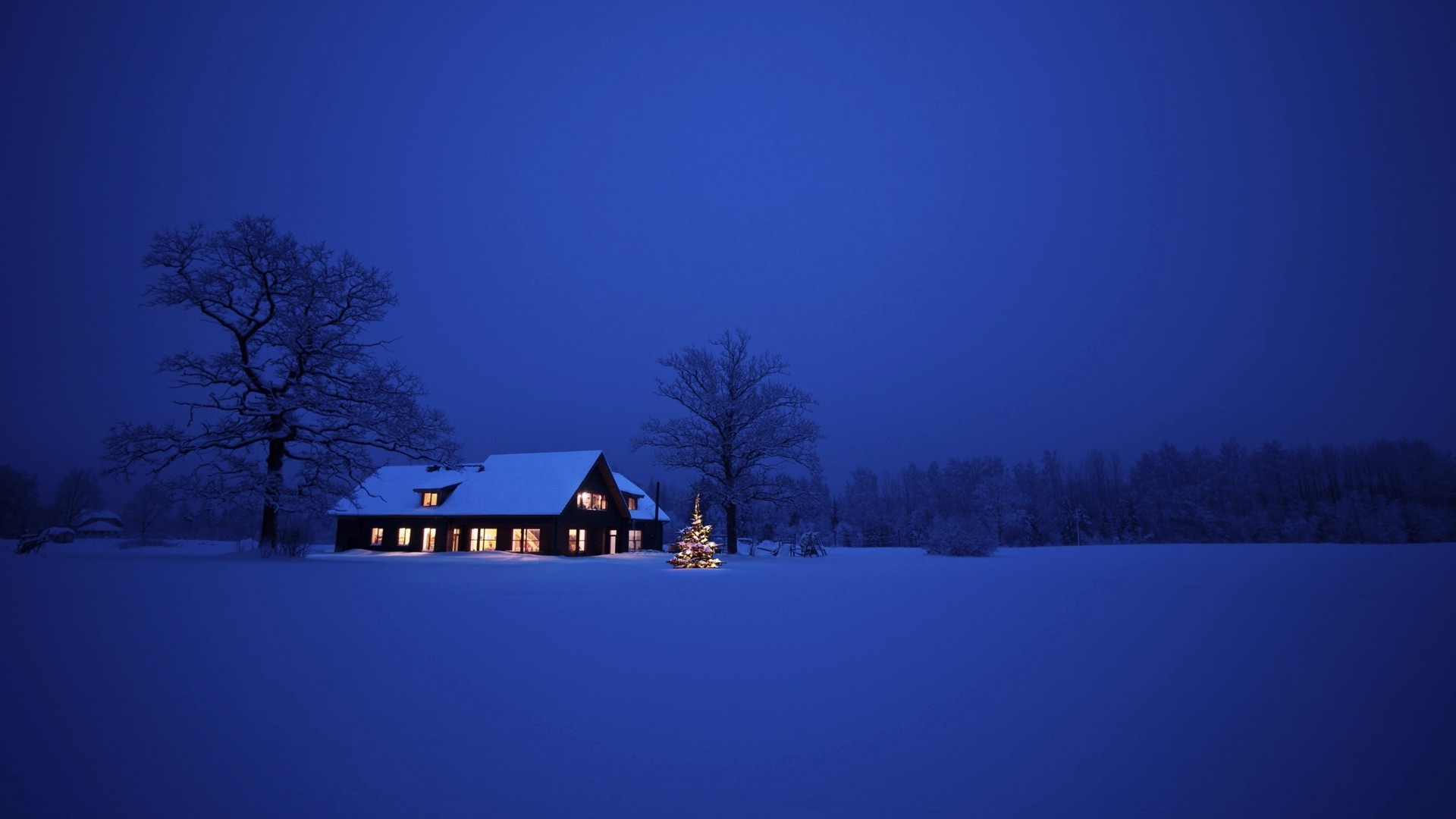 snow, House, Trees, Night, Landscape Wallpaper