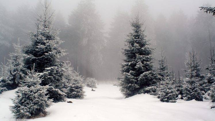 nature, Landscape, Snow, Forest HD Wallpaper Desktop Background