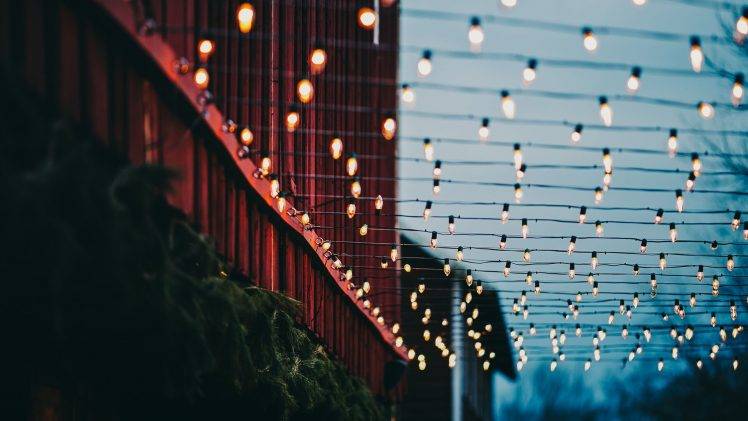 lights, Christmas Lights, Bokeh, Wires, Plants, Building HD Wallpaper Desktop Background